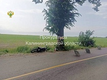 Прикативший в дерево 14-летнюю житель Малиновки пошёл под суд