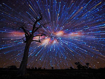 Калининградцев приглашают на вечер романса "Свет звезды"