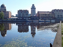 Японцы заинтересовались Калининградом