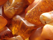 Николай Цуканов: у "черных янтарщиков" разведка круче, чем у полиции