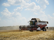 В 2017 году «Калининградская мясная компания» расширит площадь посевов зерновых на 60 % 