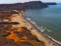 БФУ им. И.Канта: вернуть пляжи Калининградской области помогут “подводные деревья”