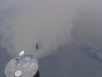 В Калининграде значительно улучшится экологическая ситуация