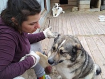 «Это заказ»: в Калининграде оправдали Ублинскую и Галяс 