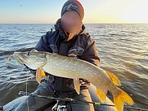 В Калининградской области назвали новое место жадного клёва щуки