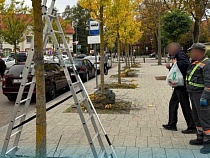 Владельца BMW X6 из Зеленоградска заставили отдать миллион 