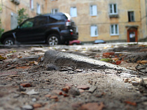 ОНФ: мы добьемся сноса гаражей в Балтийске