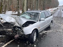 В Неманском районе девушка на «Ауди» быстро доехала до дерева 