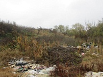 В Гурьевском районе нашли две масштабные нелегальные свалки