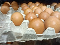 На мини-рынке в Калининграде нашли проблемы с мясом