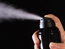 Калининградец брызнул в экс-супругу из баллончика, защищая компьютер 