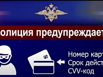 Полиция рассказала о новых уловках телефонных мошенников в Калининграде