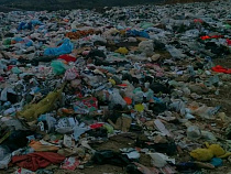 В Светлогорске расчистили незаконную свалку в 1 000 кв.м