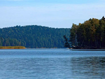У природного парка «Виштынецкий» сменился директор