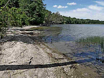 В Калининградской области катастрофически обмелело Виштынецкое озеро