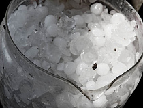 Летний град может выпасть в Калининграде в третий раз  