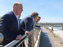 Гарри Гольдман: выезжающих на пляж на машинах нужно жёстко наказывать