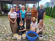 Монастырю под Калининградом бесплатно собрали богатый урожай ягод