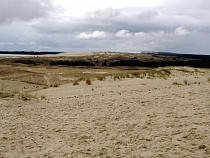 На Куршской косе реконструируют обзорную площадку с видом на поселок Морское