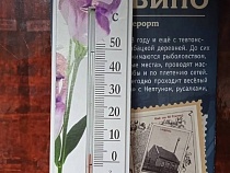 В Калининградской области замерзают библиотекарь и книгочеи