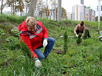 «Мираторг Запад» запустил проект по озеленению общественного пространства Калининграда