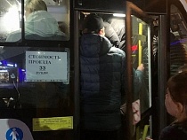 В Калининграде показали апогей давки за место в маршрутке