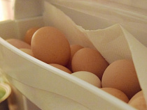 Производство яиц в регионе в 2015 году превысило 205 млн штук