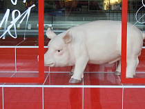 Из Правдинска в Екатеринбург привезли свинину с африканской чумой