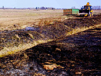 Польский фермер раскрыл секрет борьбы с поджогами полей в Калининградской области
