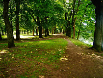 Руководитель Росприроднадзора проведет личный прием граждан