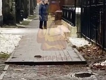 В Калининграде улицу с особняками атакуют крысы