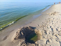 В Калининградской области нашли температурный парадокс на море