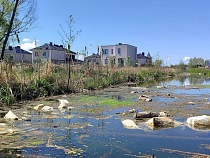 Под Зеленоградском реку Тростянку уже гробят строительными отходами