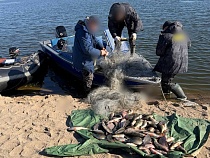 Под Калининградом мужчина наловил 112 рыб, но...