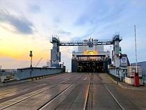 В Калининградскую область привезли непробиваемых климатом коров