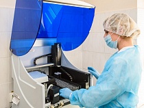 В Калининградской области ещё 203 человека заразились коронавирусом 