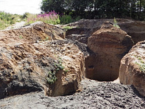 Копатели янтаря подставили “Автотор” под штраф