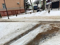 Власти Правдинска шокировали людей песком на народной горке для катания