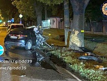 В Калининграде «Хонда» устроила переполох в безалкогольный день