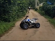 Двое детей избежали гибели на квадроцикле в Янтарном