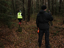 В МЧС рассказали о состоянии найденных под Гвардейском грибников