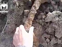 В Калининграде вместе с землёй вывалили немецкий гроб с костями