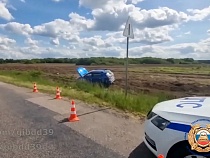 Юный пьяный на КИА оказался виновным в ДТП под Правдинском