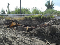 Под Калининградом птицефабрика заплатит за разлив формальдегида