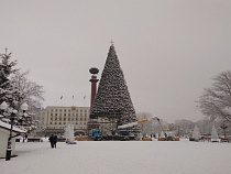 На площади Победы разбирают новогоднюю ёлку