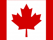 В Калининградской области заблокировали норку из Канады