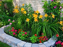 В Калининграде 60-летняя цыганка организовала сбыт героина