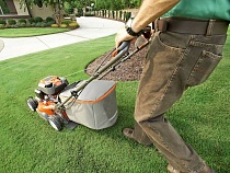 Опрос: треть калининградцев просидели лето дома или на даче