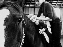 На Куршской косе займутся иппотерапией