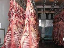 Россельхознадзор раскрыл схему поставок контрабандного мяса из стран ЕС